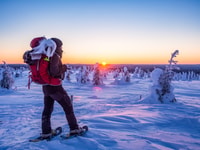 From Ruka, Snowshoeing in Riisitunturi National park - Housity