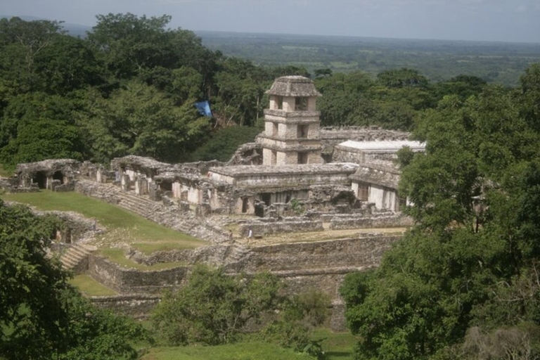 Chiapas : Visite guidée d'Agua Azul, Misol-Ha et PalenqueTour de Palenque