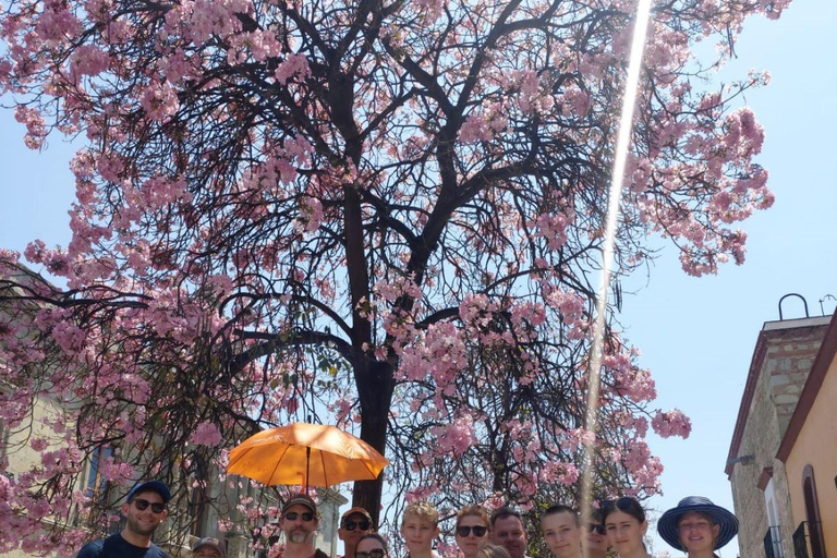 Oaxaca: Oaxaca City Beyond the Surface Walking Tour