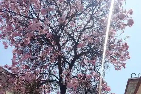 Oaxaca : Visite à pied de la ville d'Oaxaca au-delà des apparences