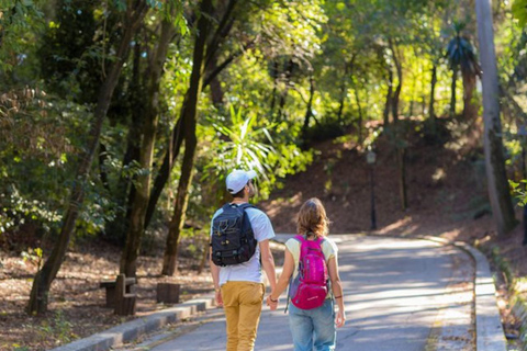 Excursión Privada de Día Completo: Playas y ciudad de Corfú