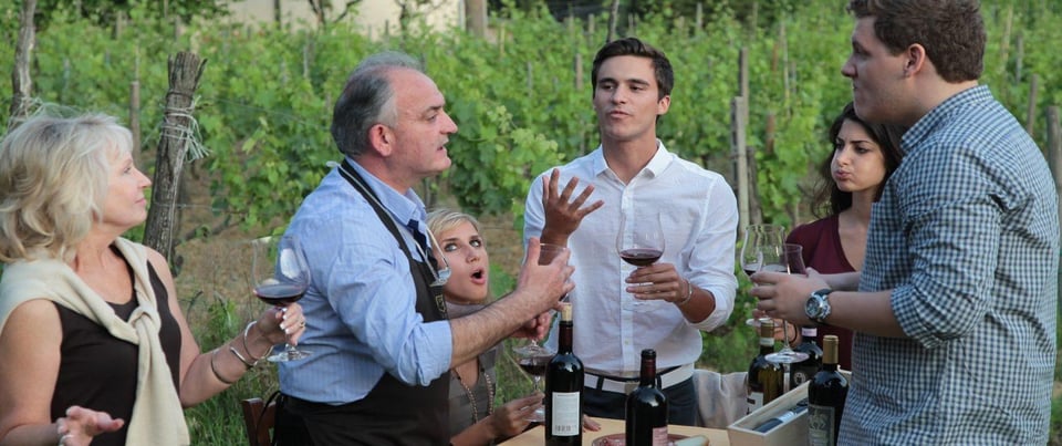 Siena e San Gimignano: escursione da Roma con degustazione di vini