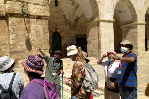 Tour privato del Monte del Tempio