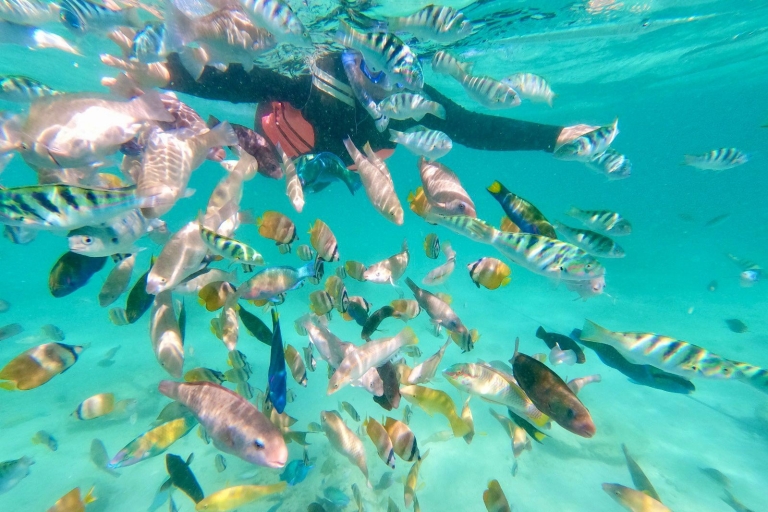 Exotic Escape Island : Pink Beach and Snorkeling Daily Tour Exotic Island Escape : Pink Beach and Snorkeling Daily Tour