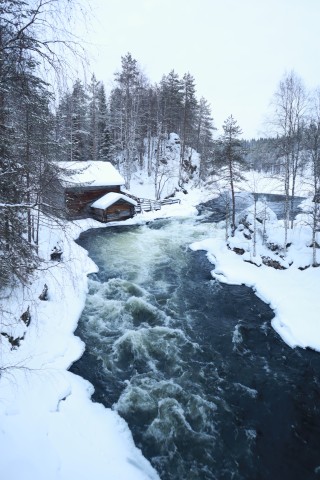 Visit From Ruka Snowshoeing in Oulanka National Park in Levi