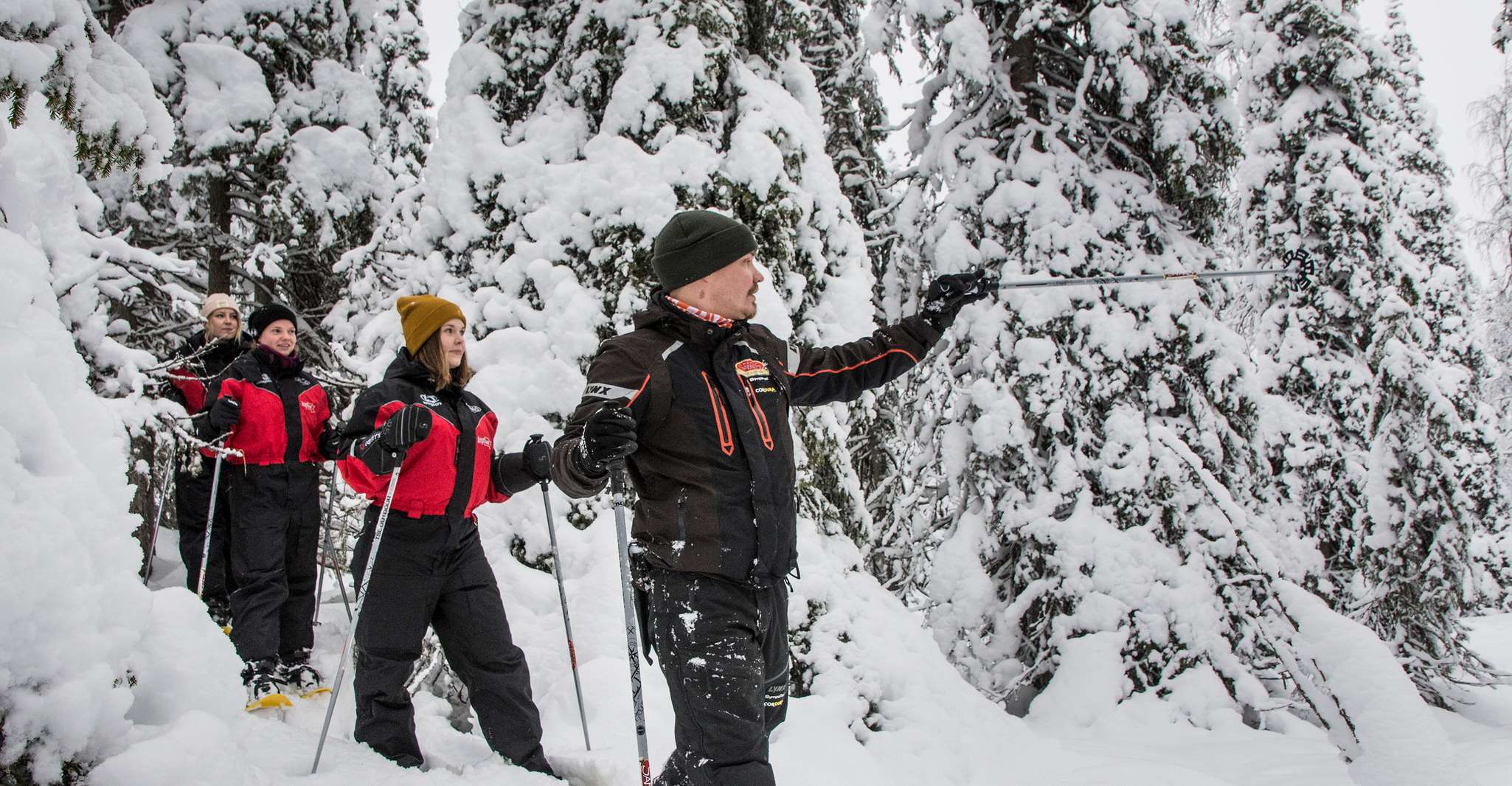 From Ruka, Snowshoeing in Oulanka National Park - Housity