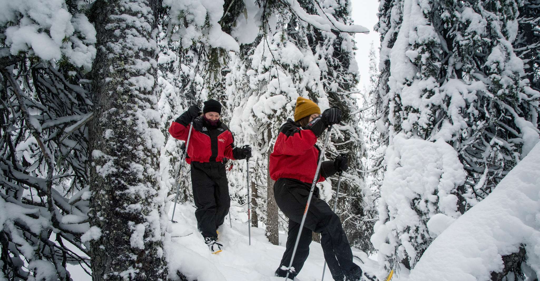 From Ruka, Snowshoeing in Oulanka National Park - Housity