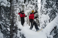 From Ruka, Snowshoeing in Oulanka National Park - Housity