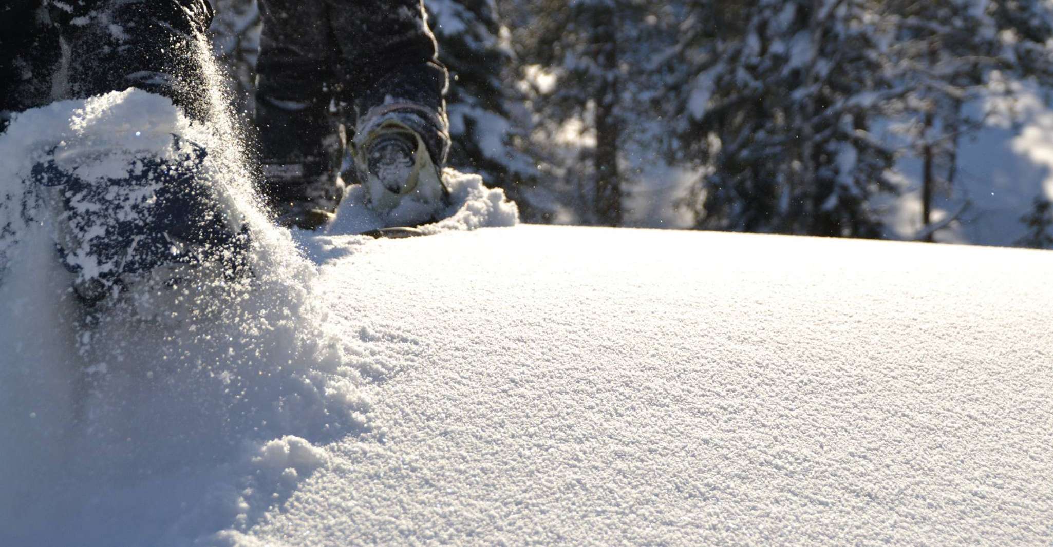 From Ruka, Snowshoeing in Oulanka National Park - Housity