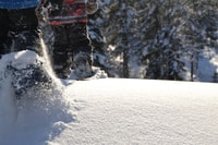 From Ruka, Snowshoeing in Oulanka National Park - Housity