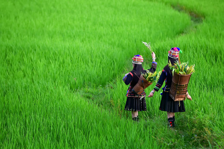 Chiang Rai: Full-Day Customizable Private Tour