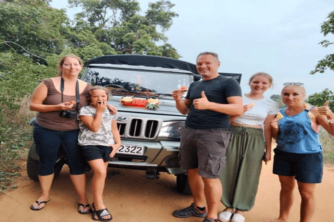 From Sigiriya/Habarana: Hurulu Eco Park Wild Elephant Safari From Sigiriya/Habarana: Minneriya /Kaudulla Elephant Safari