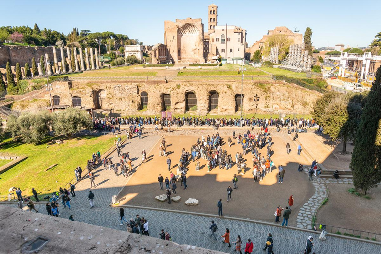 Rome: Colosseum Arena Full Access & Forum with AudioGuideApp Arena Full Access & Forum with Audio Guide App