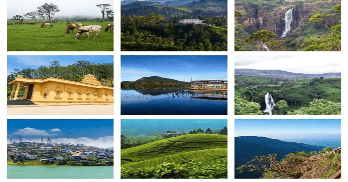 3 Day Tour/ Nuwaraeliya/Bentota/Airport | GetYourGuide