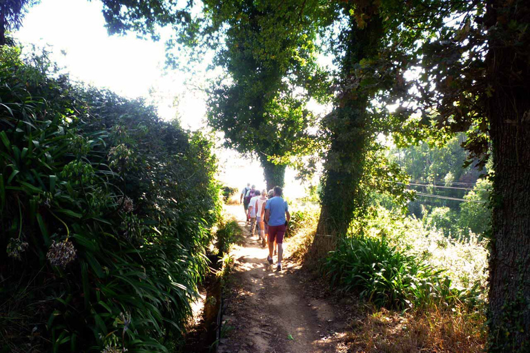 Madeira : Paseo a pie - Vale Paraíso / Rochão