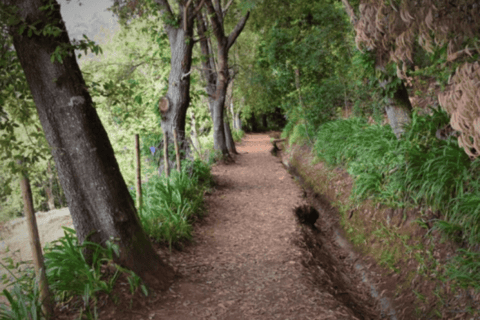 Madeira : Paseo a pie - Vale Paraíso / Rochão