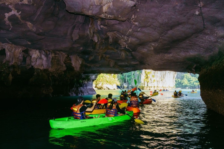 Unvergessliches Halong-Bucht-Abenteuer mit Ausflugsfahrt