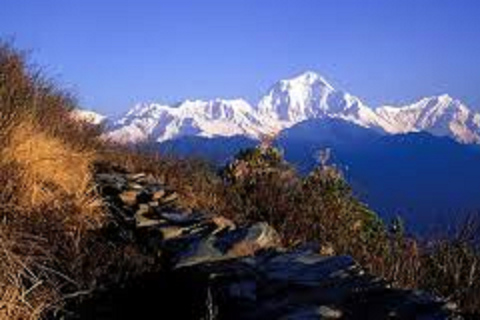 Da Pokhara: Trek di 3 giorni con il fantastico Ghandruk Poon HillTrek di 3 giorni con la collina di Ghandruk Poon da Pokhara