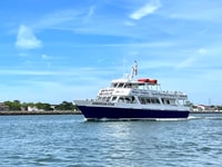 Cape May, Scenic Whale und Dolphin beobachten Kreuzfahrt - Hizvo