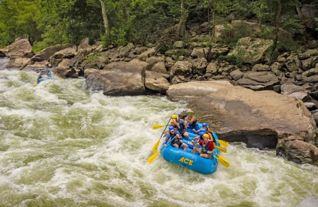 Visit New River Gorge Whitewater Rafting - Lower New Full Day in New River Gorge National Park
