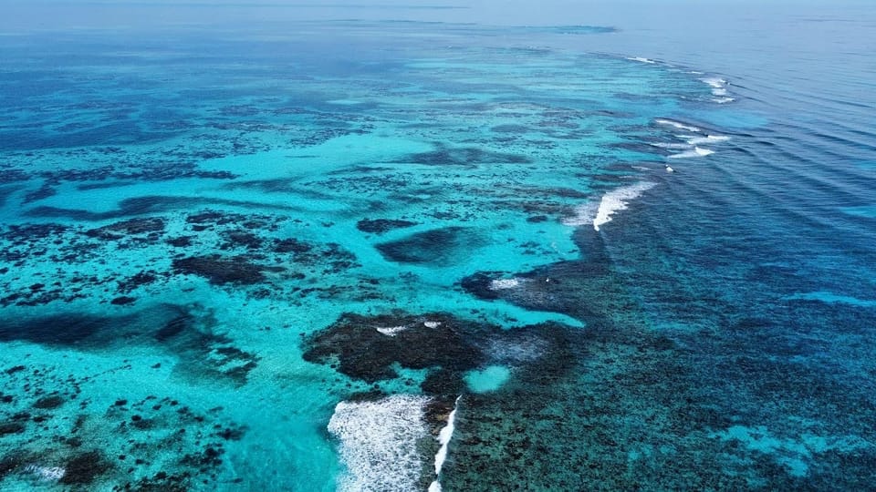 Snorkeling Day Trip Placencia GetYourGuide