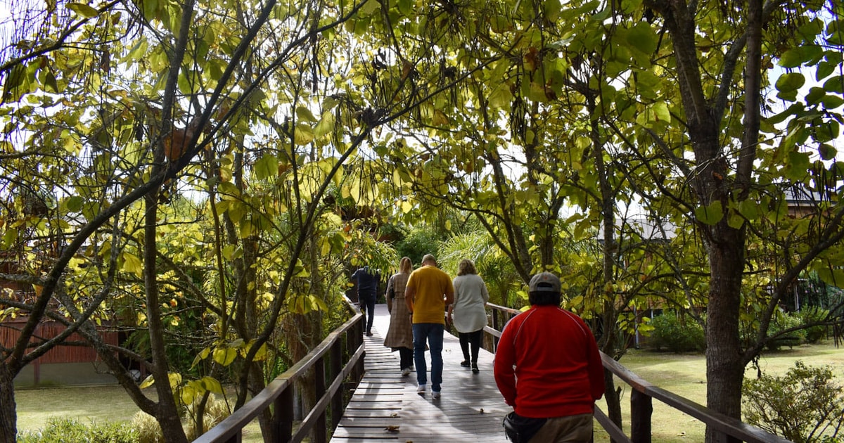 Historical Guided Walking Tour In Tigre GetYourGuide