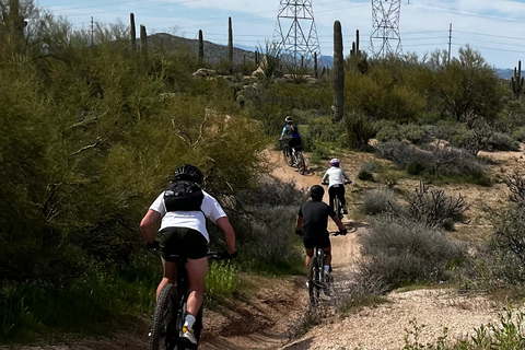 Scottsdale, AZ Excursiones Guiadas Privadas en Bicicleta de Montaña por el Desierto