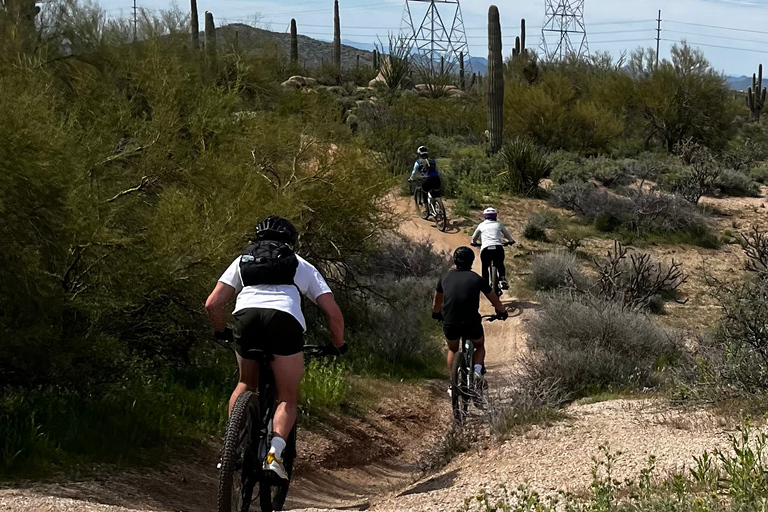 Scottsdale, AZ Tour guidati privati in mountain bike nel deserto