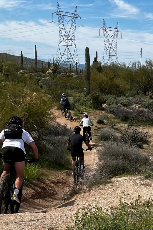 Tucson Az Road Bike Paths Near Me Tucson Mountain Bike Rental Near