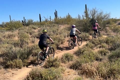 Scottsdale, AZ Excursões guiadas privadas de mountain bike no deserto