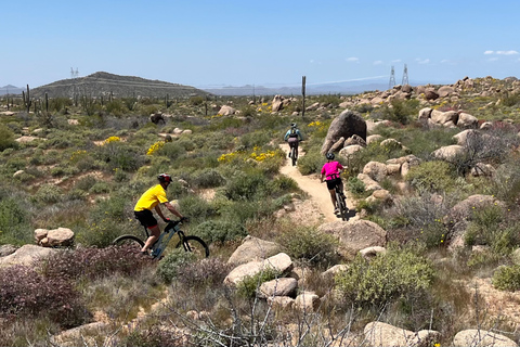 Scottsdale, AZ Excursões guiadas privadas de mountain bike no deserto