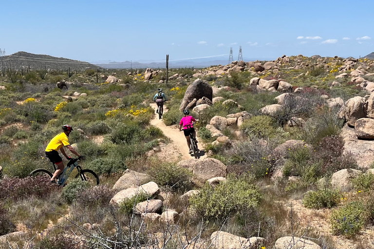 Scottsdale, AZ Excursões guiadas privadas de mountain bike no deserto