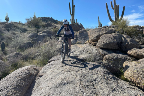 Scottsdale, AZ Excursiones Guiadas Privadas en Bicicleta de Montaña por el Desierto