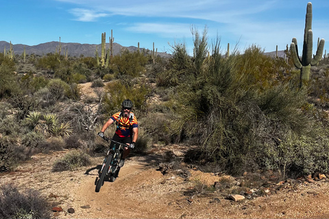 Scottsdale, AZ Excursões guiadas privadas de mountain bike no deserto