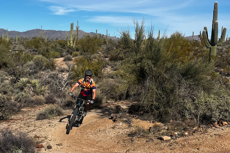 Scottsdale, AZ Privé begeleide woestijn-mountainbiketochten