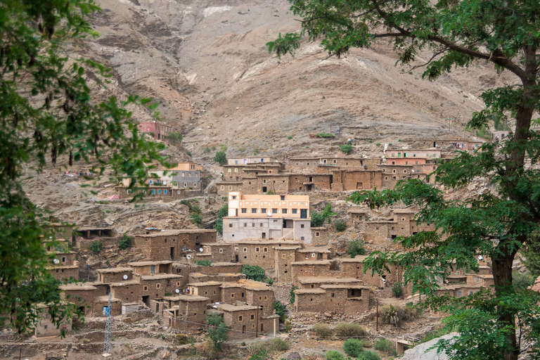 Ourika Valley Delad heldagsutflykt från MarrakechHeldagsutflykt till Ourika-dalen från Marrakech