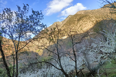 Excursion d'une journée dans la vallée de l'Ourika au départ de Marrakech