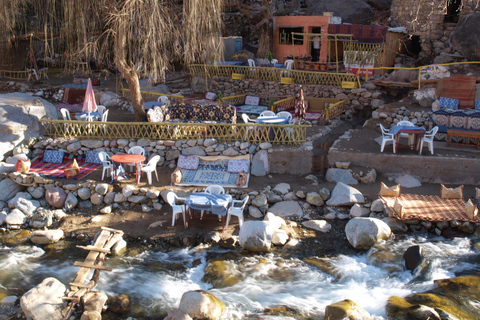 Ourika Valley Delad heldagsutflykt från MarrakechHeldagsutflykt till Ourika-dalen från Marrakech