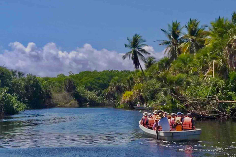 Tour 4 em 1 - Mazunte, Fábrica de Cacau e Desova/Liberação de Tartarugas