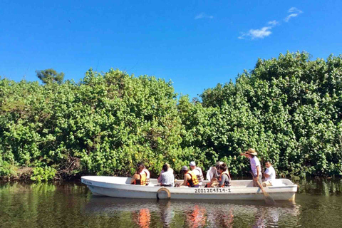 Tour 4 em 1 - Mazunte, Fábrica de Cacau e Desova/Liberação de Tartarugas