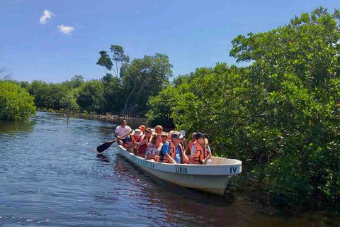 Tour 4 em 1 - Mazunte, Fábrica de Cacau e Desova/Liberação de Tartarugas