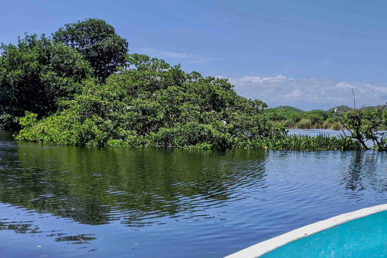 Excursión 4 en 1 - Mazunte, fábrica de cacao y desove/liberación de tortugas