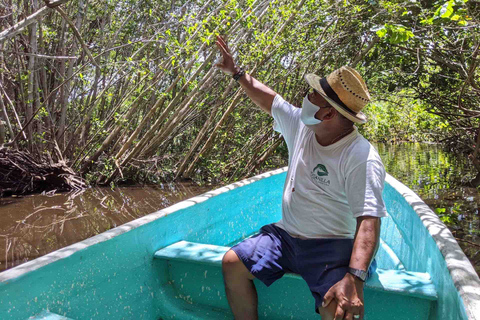 Excursión 4 en 1 - Mazunte, fábrica de cacao y desove/liberación de tortugas