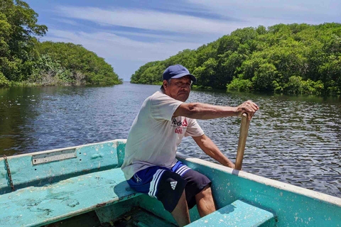 Excursión 4 en 1 - Mazunte, fábrica de cacao y desove/liberación de tortugas