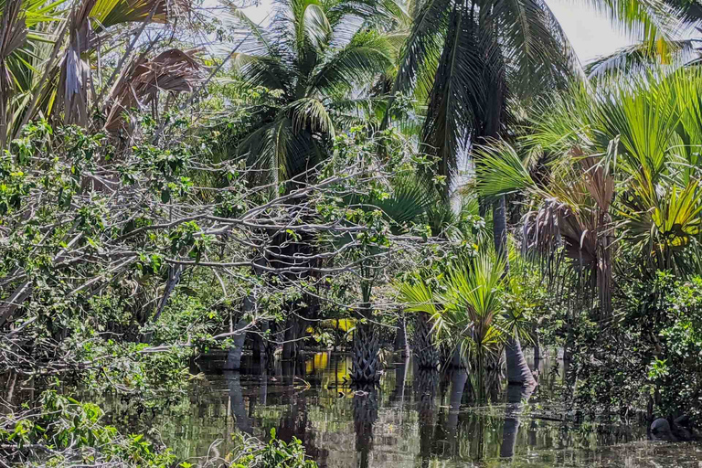 Excursión 4 en 1 - Mazunte, fábrica de cacao y desove/liberación de tortugas