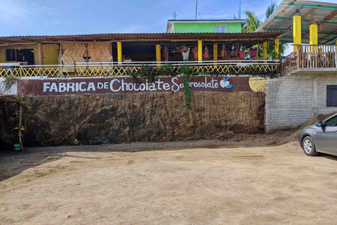 Tour 4 em 1 - Mazunte, Fábrica de Cacau e Desova/Liberação de Tartarugas