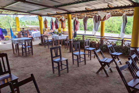 Tour 4 em 1 - Mazunte, Fábrica de Cacau e Desova/Liberação de Tartarugas