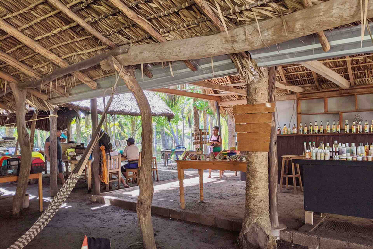 Tour 4 em 1 - Mazunte, Fábrica de Cacau e Desova/Liberação de Tartarugas