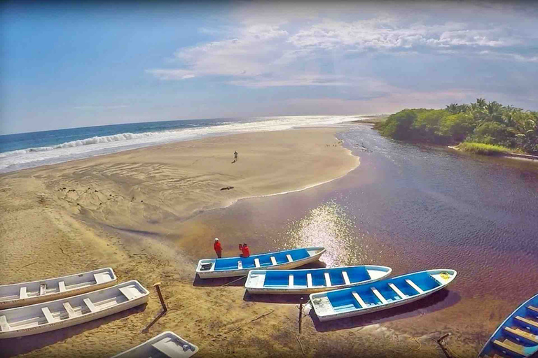 Excursión 4 en 1 - Mazunte, fábrica de cacao y desove/liberación de tortugas