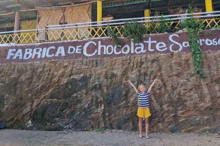 Tour 4 em 1 - Mazunte, Fábrica de Cacau e Desova/Liberação de Tartarugas